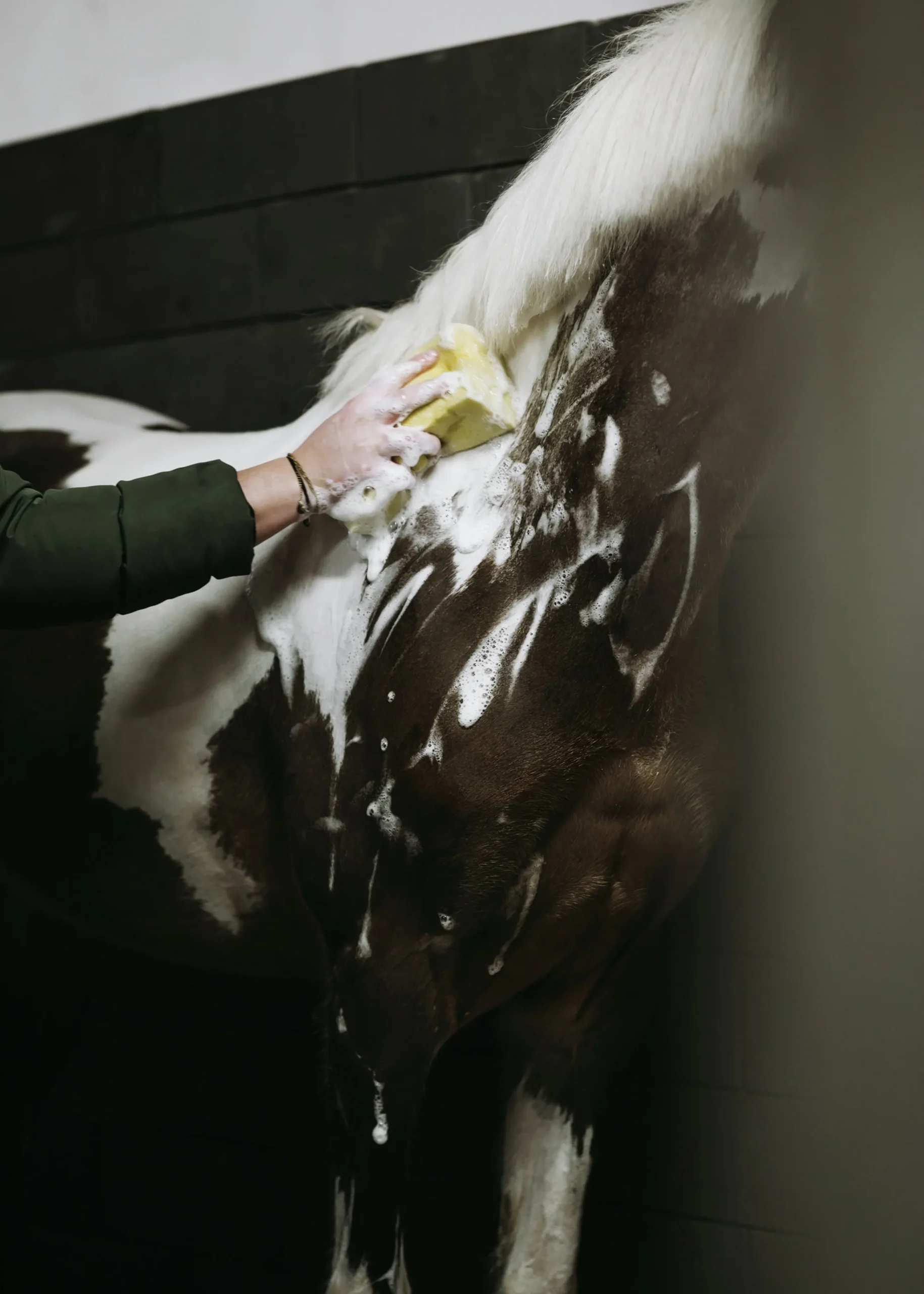 Hästschampo Fair Horse Care 1L