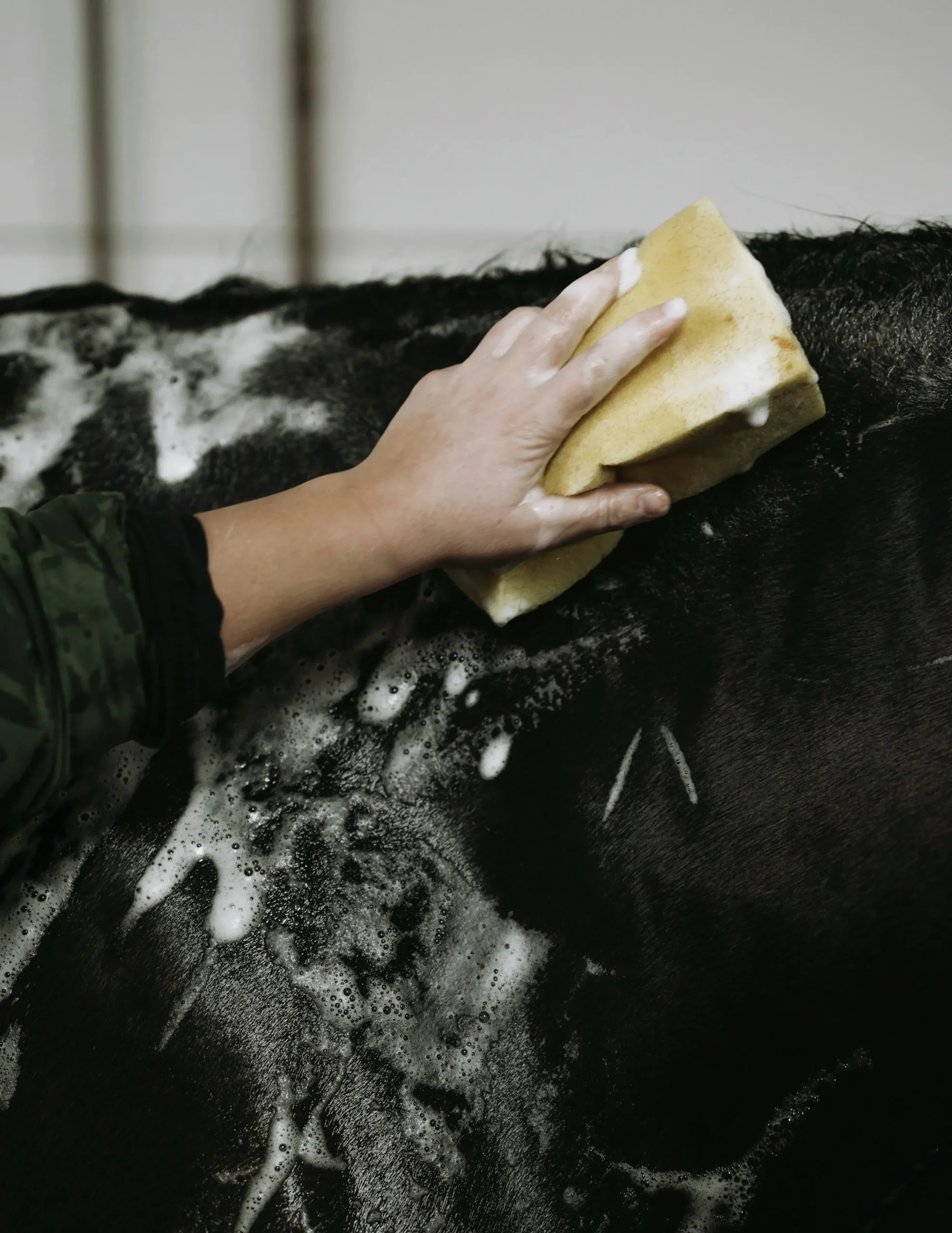 Hästschampo Fair Horse Care 1L