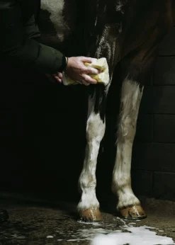 Hästschampo Fair Horse Care 1L