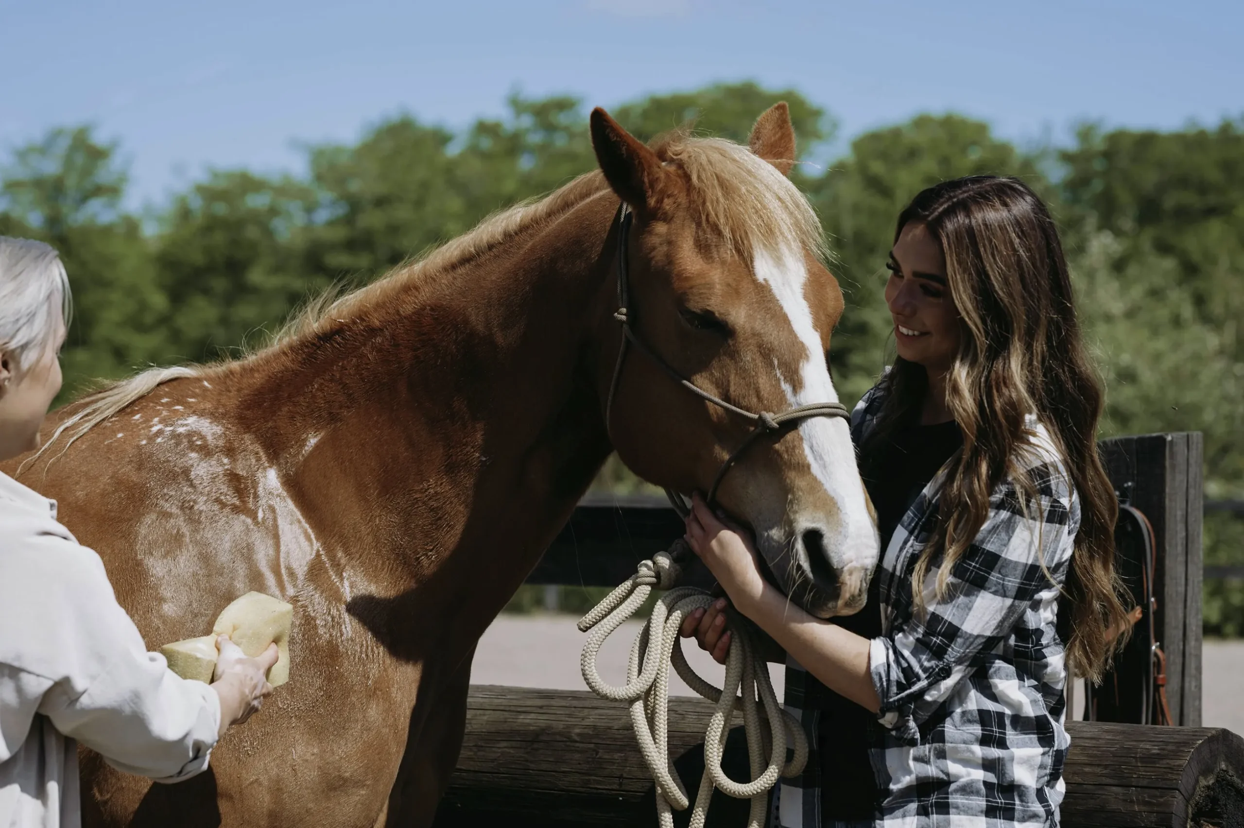 Hästschampo Fair Horse Care 1L