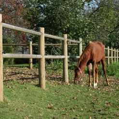 Häststängsel Nordic Fence Natur