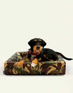Hundbädd Bia Bed Camo