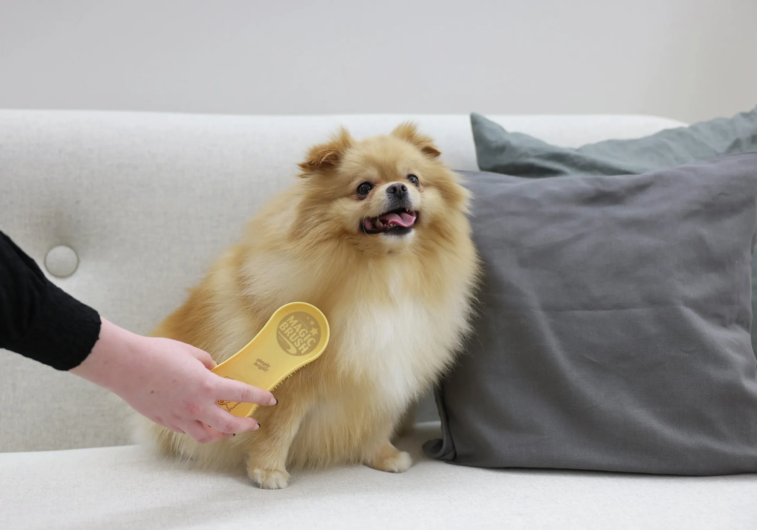 Hundborste MagicBrush Golden