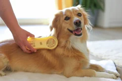 Hundborste MagicBrush Golden