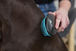 Hundborste Trixie Mjuk i Plast Turkos 19cm