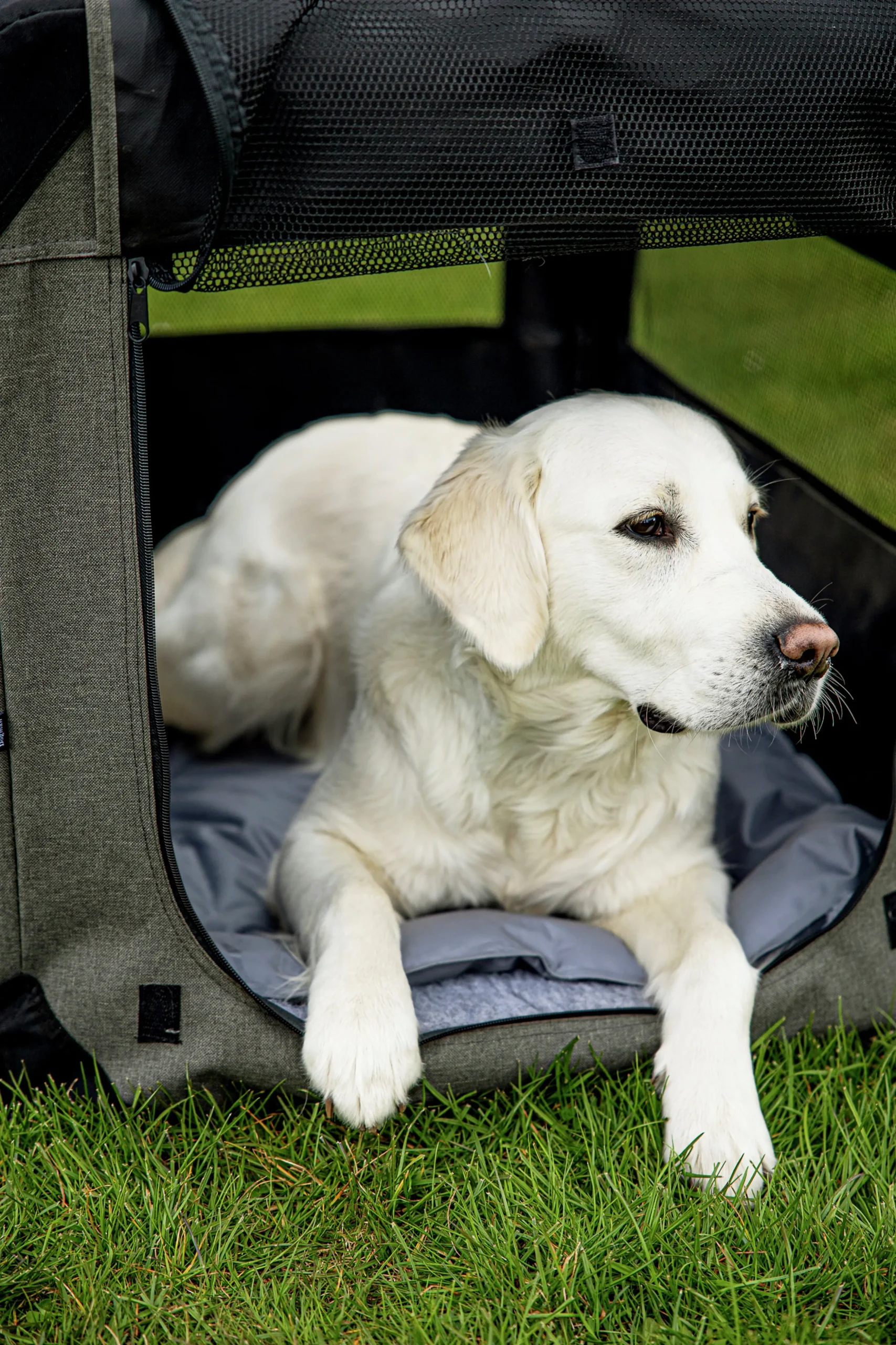 Hundbur Dogman Milou Canvas Grå