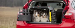 Hundbur MIMsafe VarioCage Compact XL