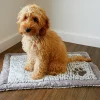 Hundfilt Rosewood Luxury Fleece Grå 100x75cm