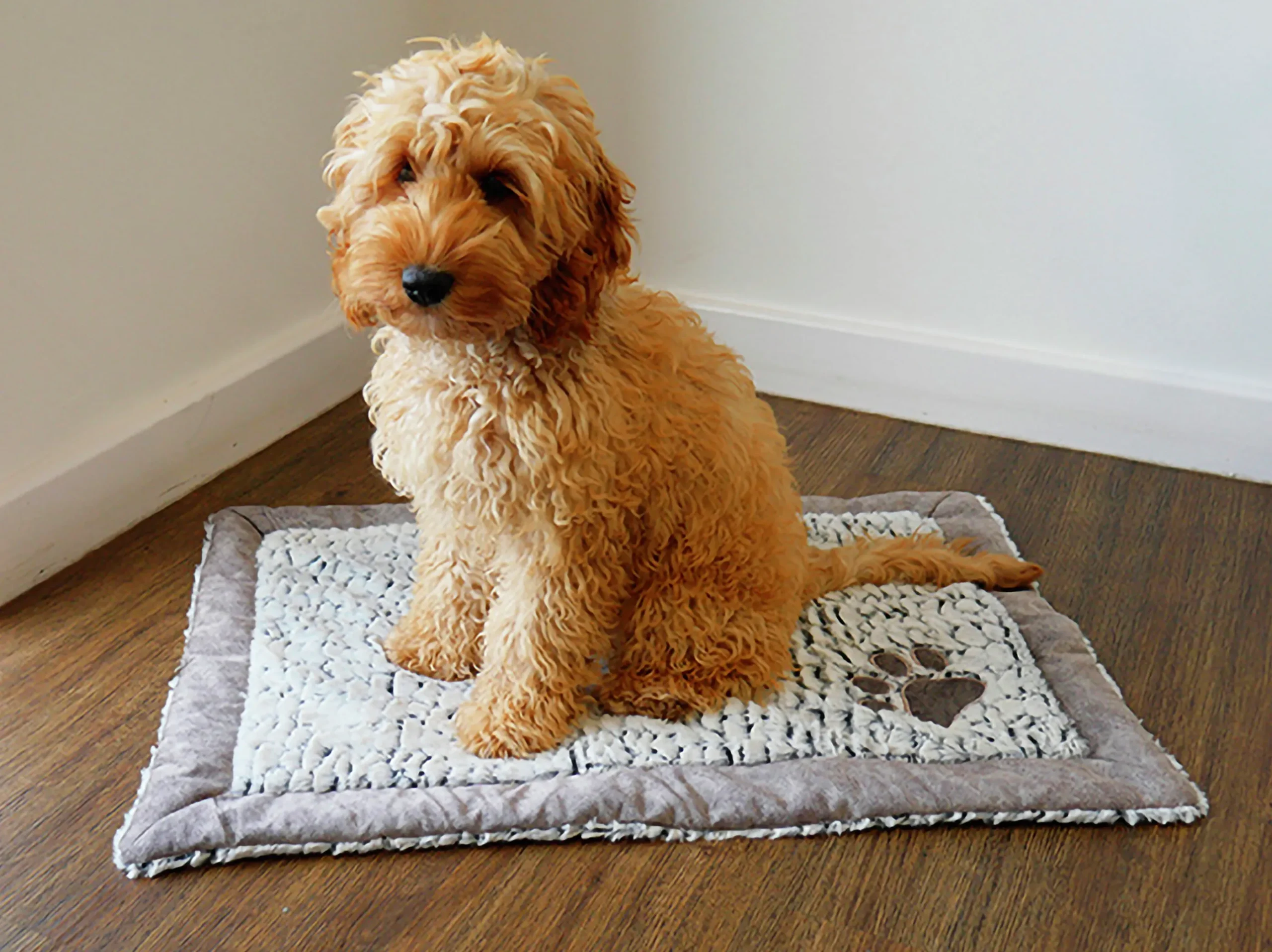 Hundfilt Rosewood Luxury Fleece Grå 100x75cm