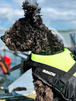 Hundflytväst Baltic Mascot, Neongul/svart