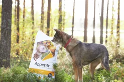 Hundfoder Appetitt Light 12kg