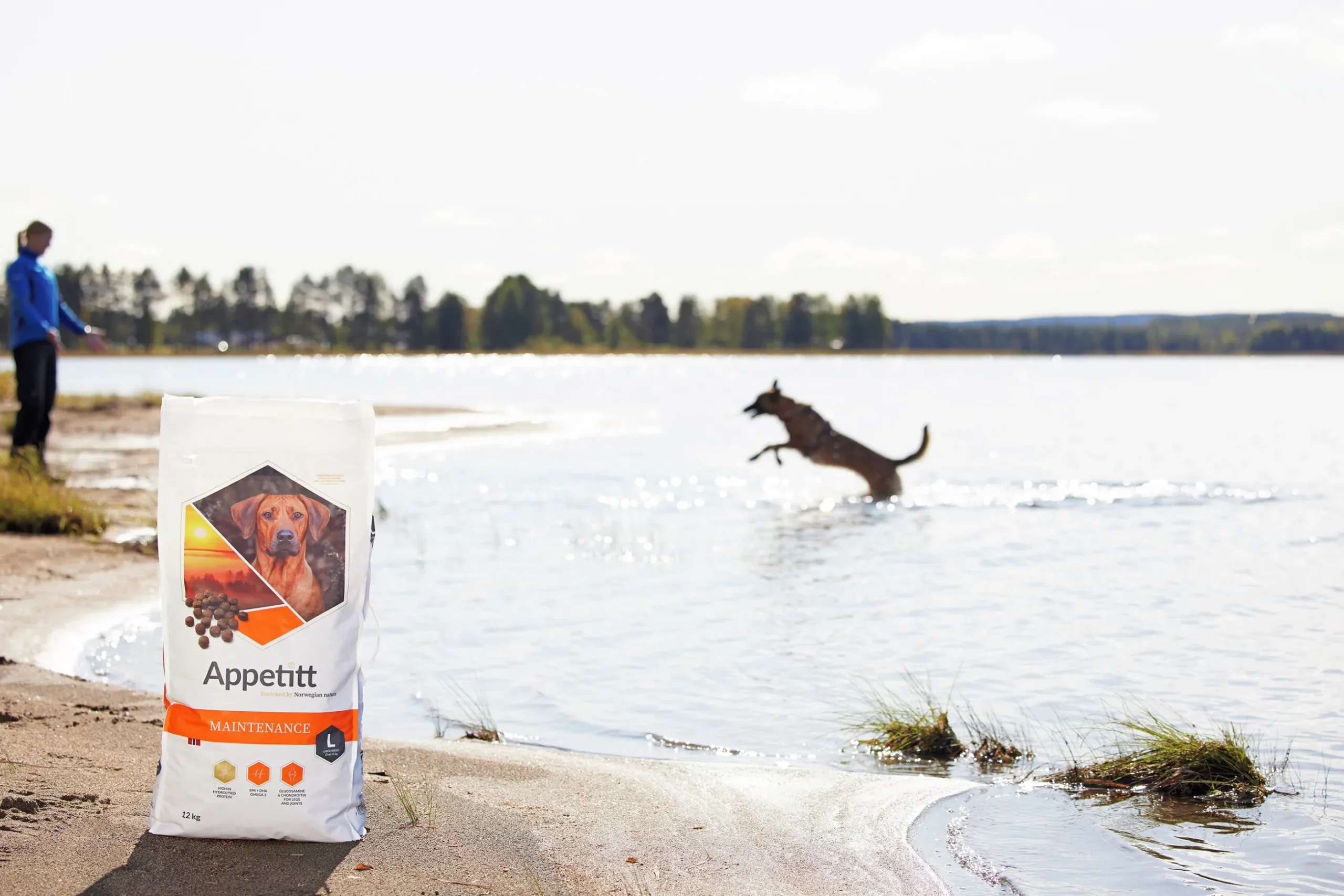Hundfoder Appetitt Maintenance Large 12kg