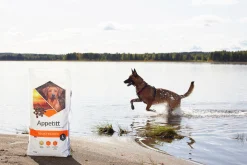 Hundfoder Appetitt Maintenance Large 12kg