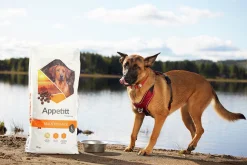 Hundfoder Appetitt Maintenance Large 12kg