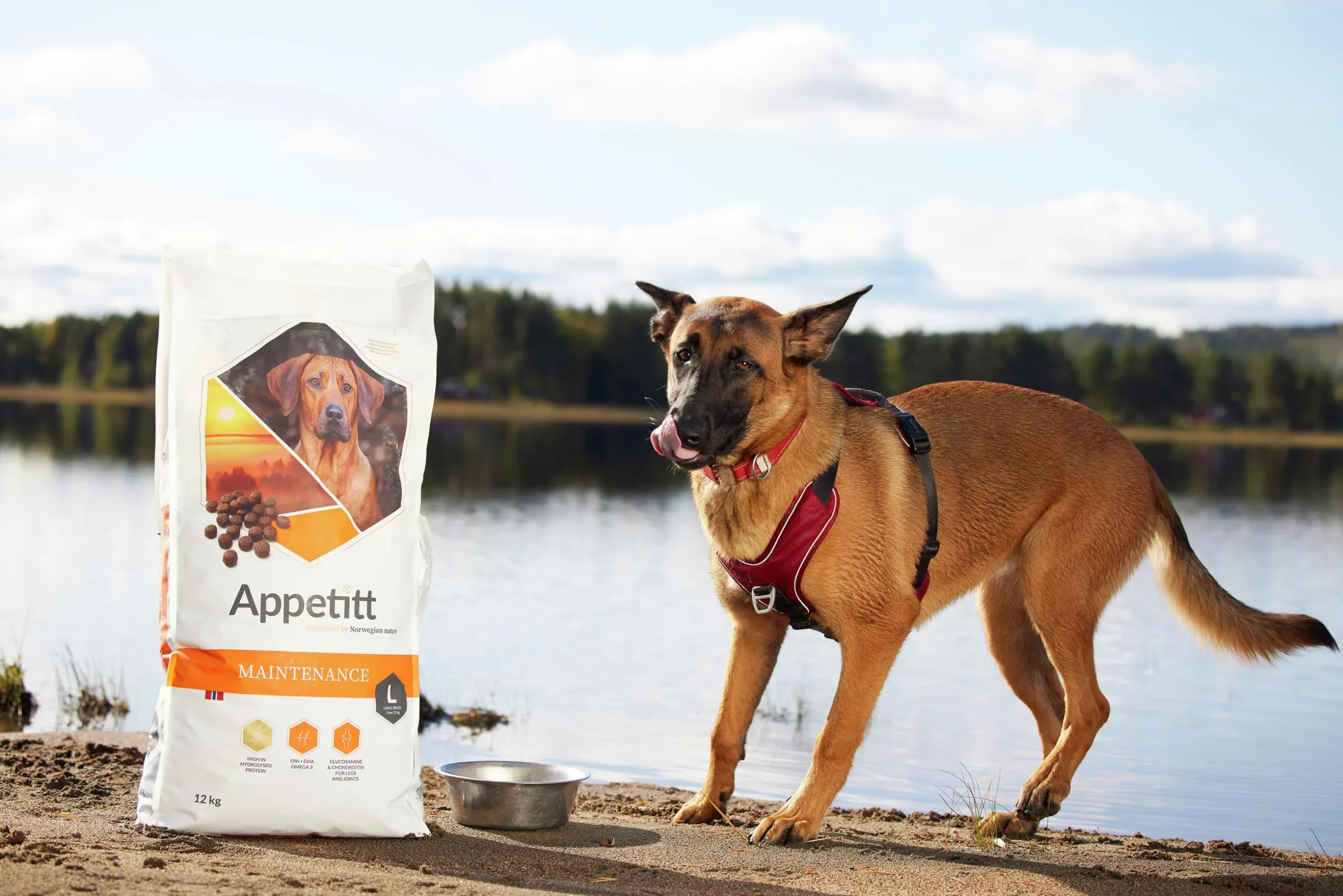 Hundfoder Appetitt Maintenance Large 12kg