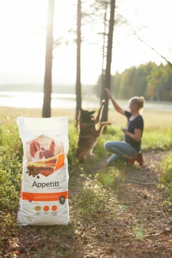 Hundfoder Appetitt Maintenance Medium 12kg