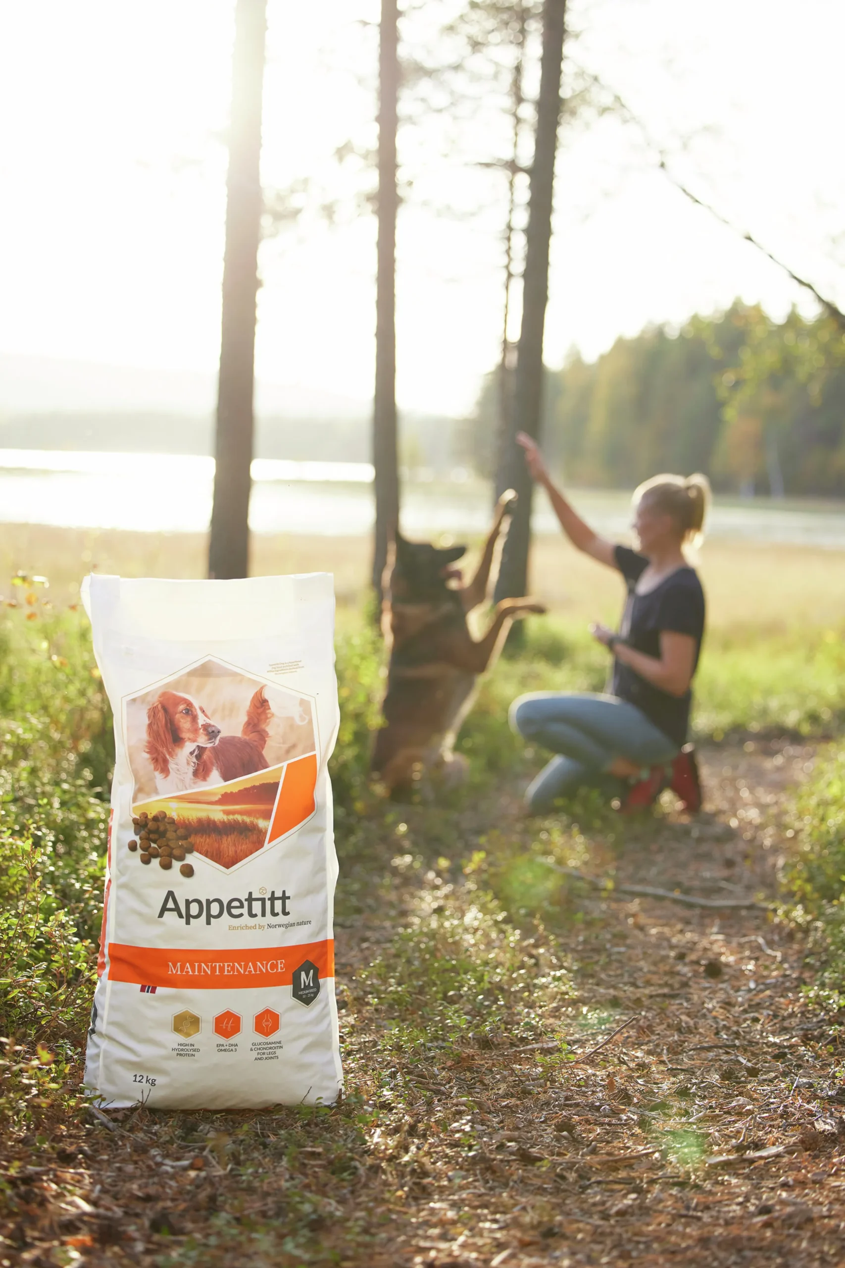 Hundfoder Appetitt Maintenance Medium 12kg
