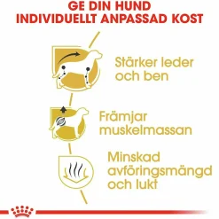 Hundfoder Royal Canin Dachshund Adult 7,5kg