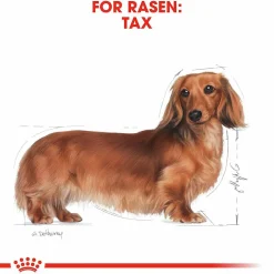 Hundfoder Royal Canin Dachshund Adult 7,5kg