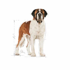Hundfoder Royal Canin Giant Adult 15kg