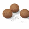 Hundfoder Royal Canin Maxi Digestive Care 12kg