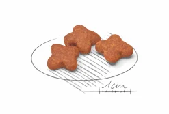 Hundfoder Royal Canin Mini Adult 8+ 2kg