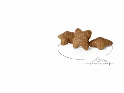 Hundfoder Royal Canin Mini Adult