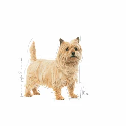 Hundfoder Royal Canin Mini Light Weight Care 3kg