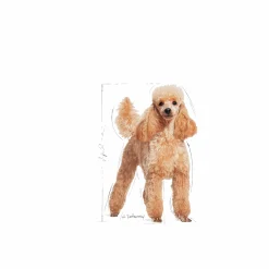 Hundfoder Royal Canin Poodle Adult 7,5kg