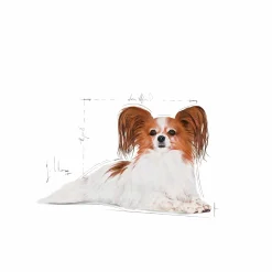 Hundfoder Royal Canin X-Small Ageing 12+ 1,5kg