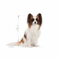 Hundfoder Royal Canin X-Small Adult 8+ 1,5kg