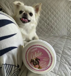 Hundglass Fidovet Gelato Vanilj 40g