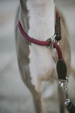 Hundhalsband Hunter Freestyle Halvstryp Bordeaux