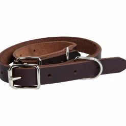 Hundhalsband Pritax Läder Brun