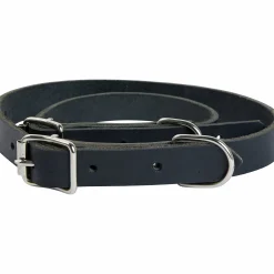 Hundhalsband Pritax Läder Svart