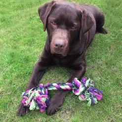 Hundleksak Dogman Vixen Rep med 2 knutar Flerfärgad
