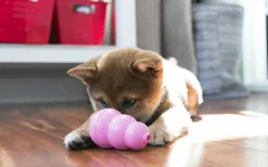 Hundleksak Kong Puppy Blandade färger M