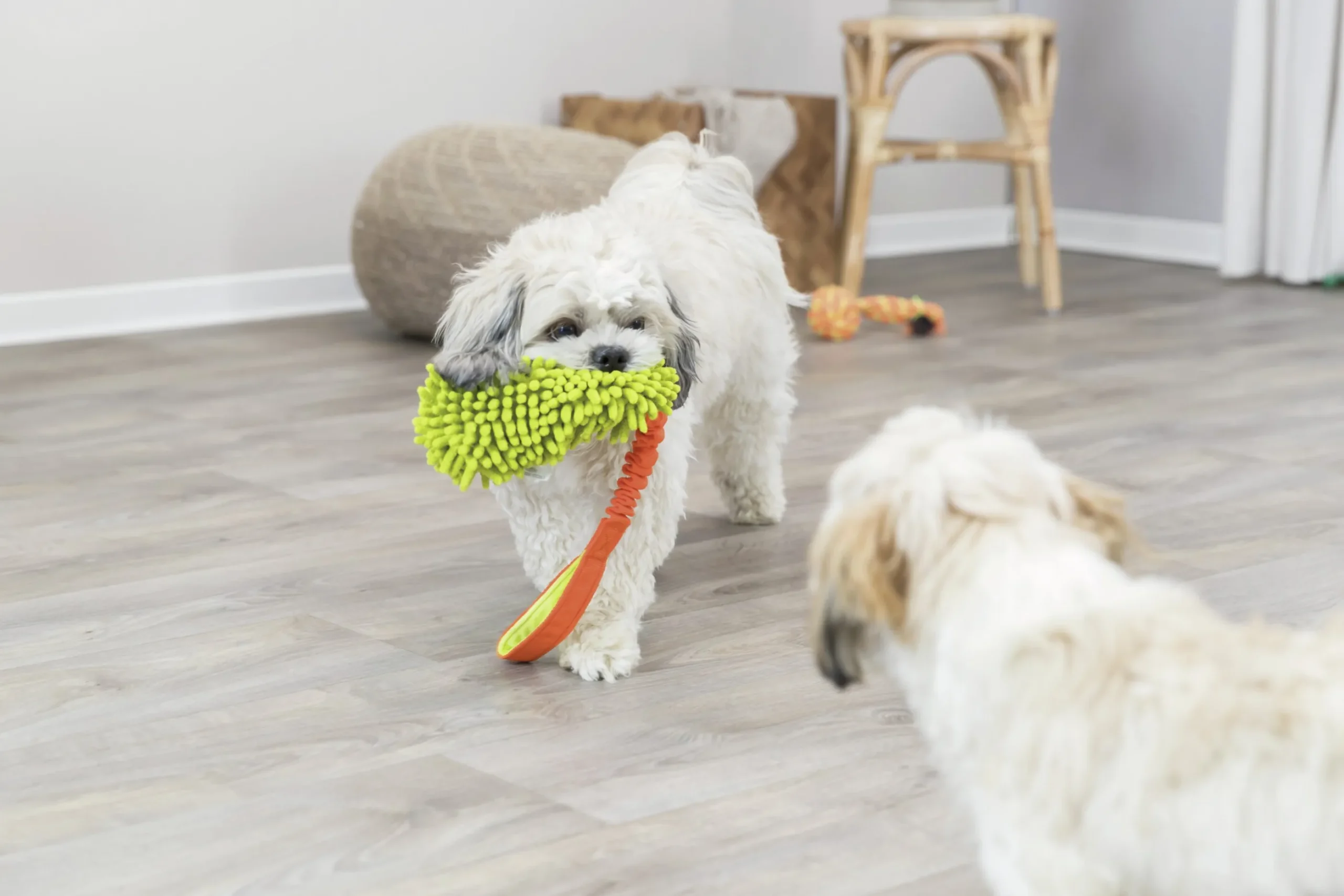 Hundleksak Trixie Bungee Dummy handtag Blandade färger 47cm