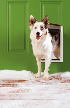 Hundlucka Petsafe Extreme Weather Vit M