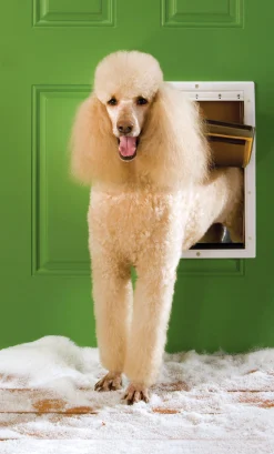 Hundlucka Petsafe Extreme Weather Vit L