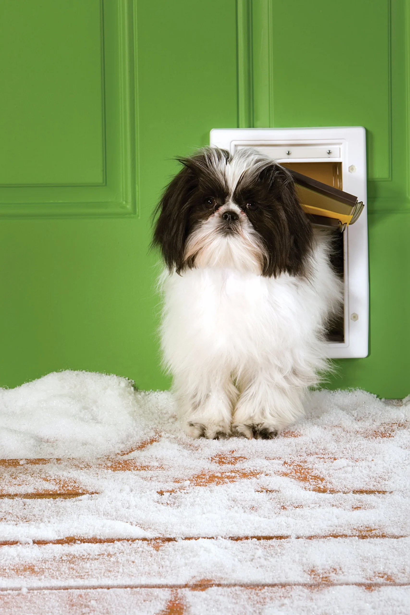 Hundlucka Petsafe Extreme Weather Vit S