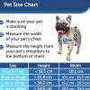 Hundlucka Petsafe Staywell Aluminium XL