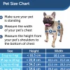 Hundlucka Petsafe Staywell Aluminium L