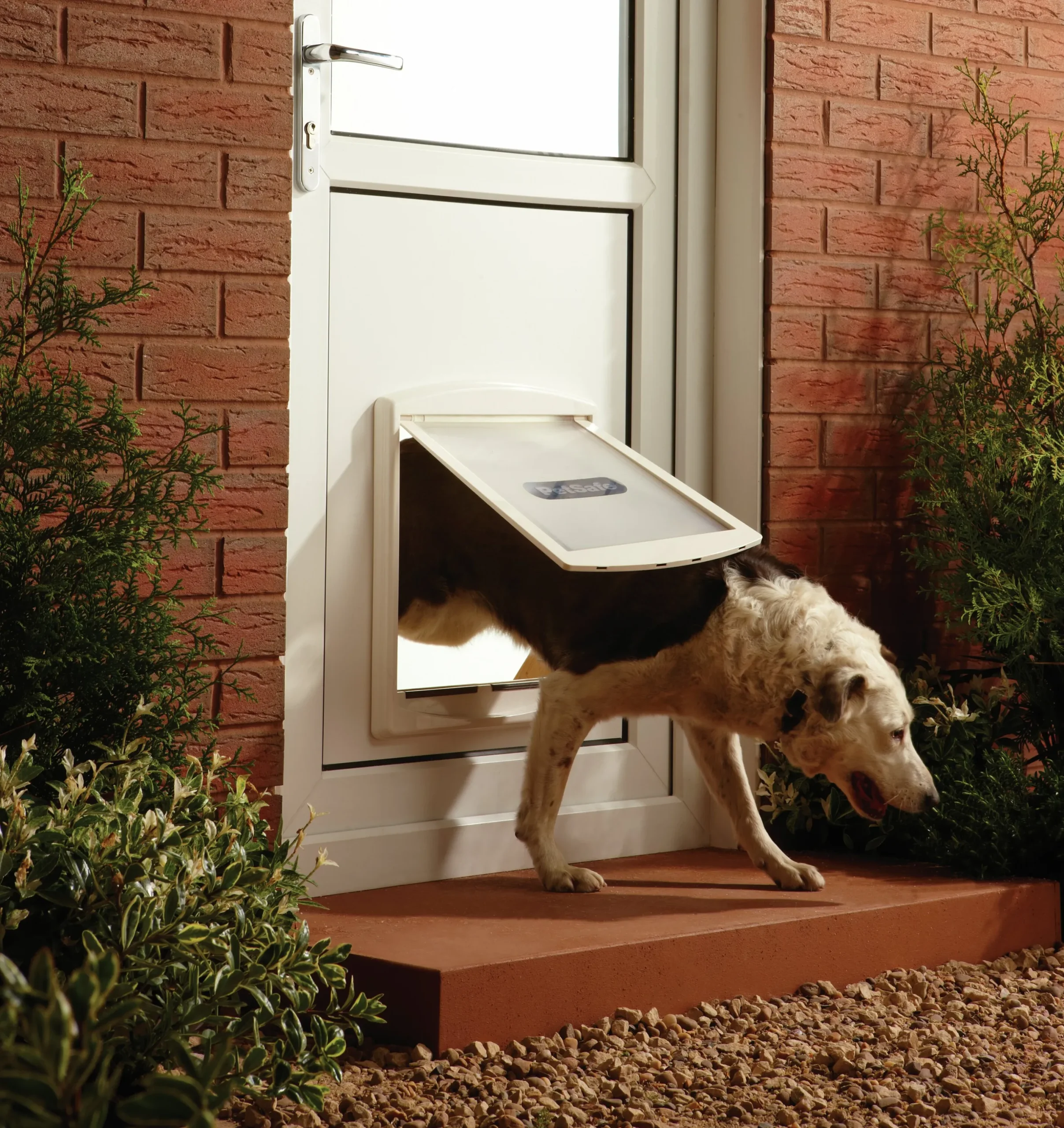 Hundlucka Petsafe Staywell Original 715 2-väg Vit L