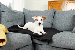 Hundmadrass Bia Bed Travel Outdoor Svart