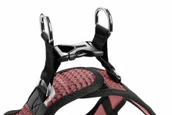 Hundsele Hunter Step-In Rosa