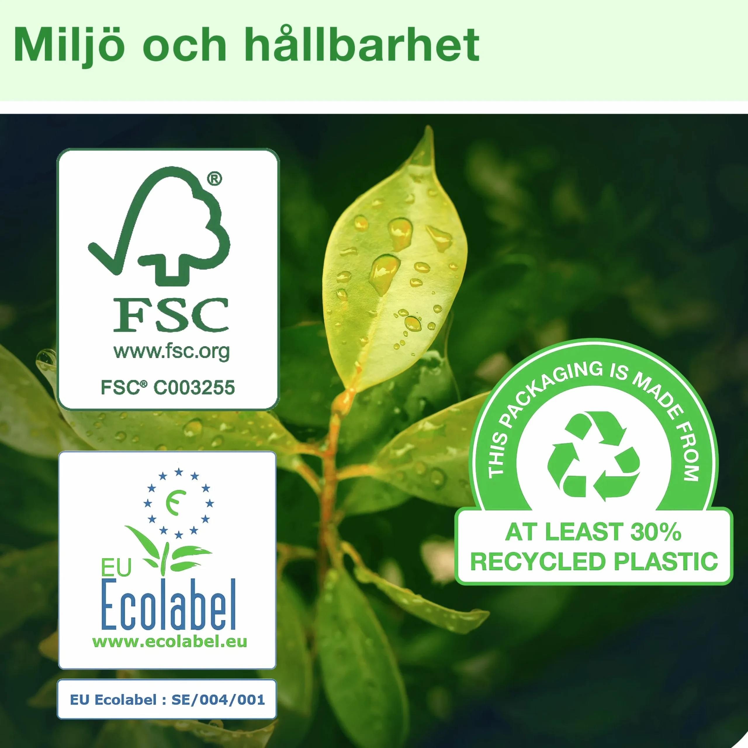 Hushållspapper Tork Basic 2-lagers 4 rullar x 26 m (120223)