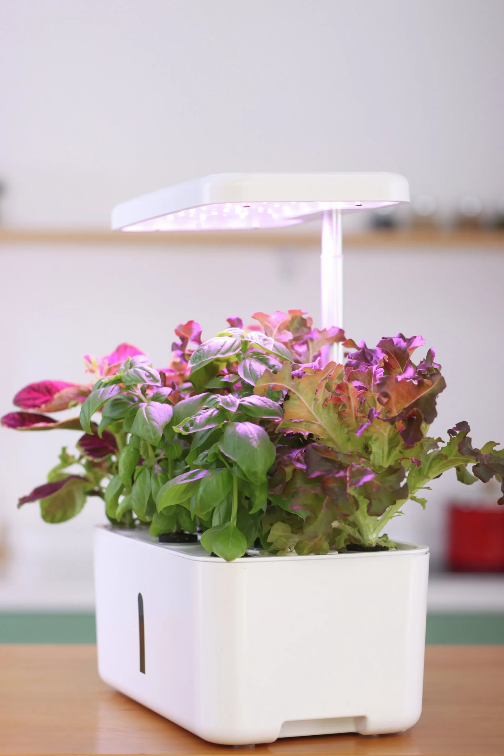 Hydroponisk odling Greenline Urban Growing Odlingsset