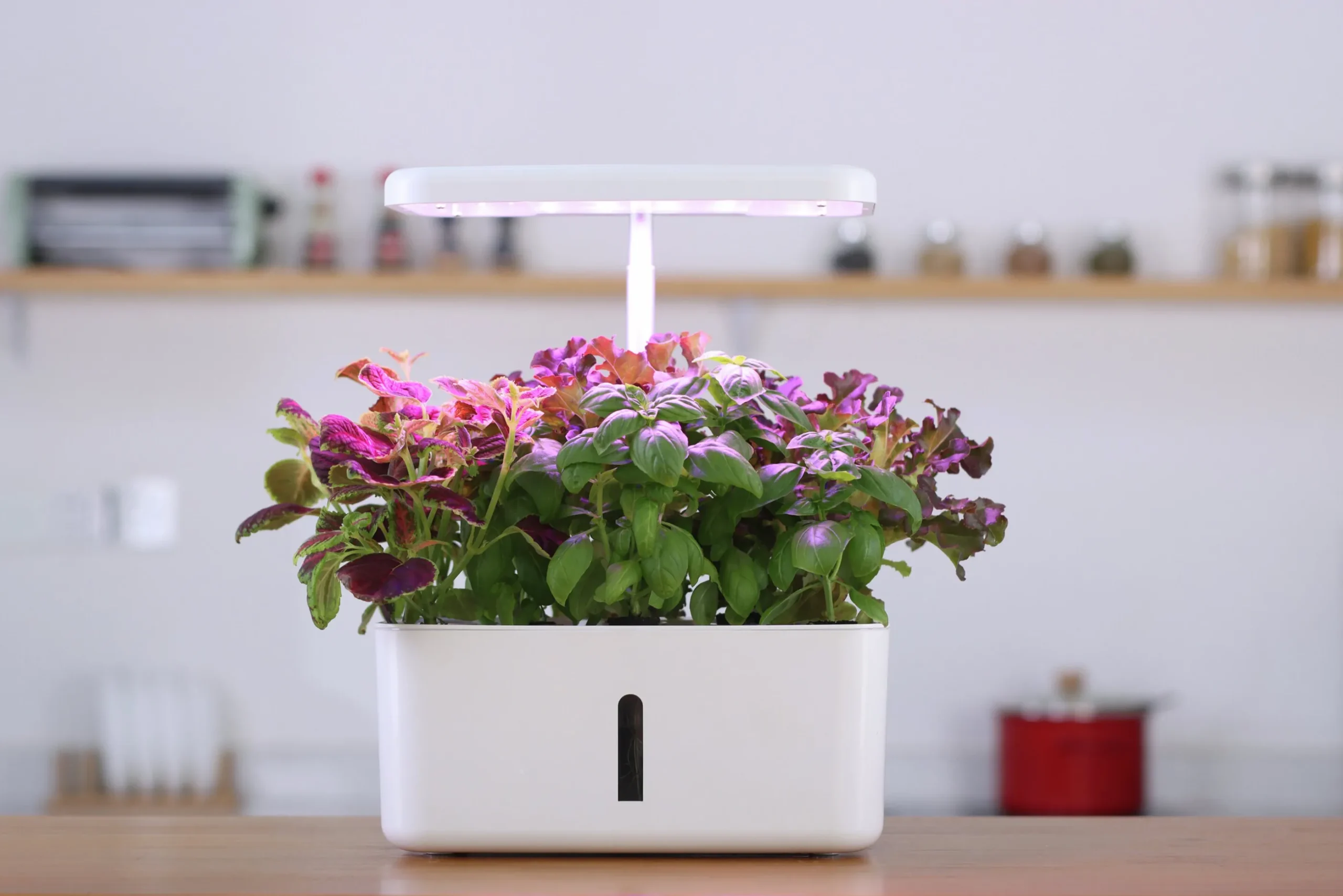 Hydroponisk odling Greenline Urban Growing Odlingsset