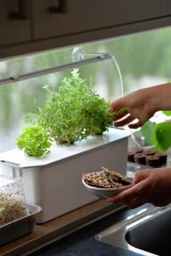 Hydroponisk odling Nelson Garden Harvy Startpaket 3 pluggar